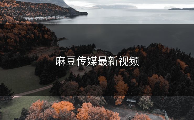 麻豆传媒最新视频
