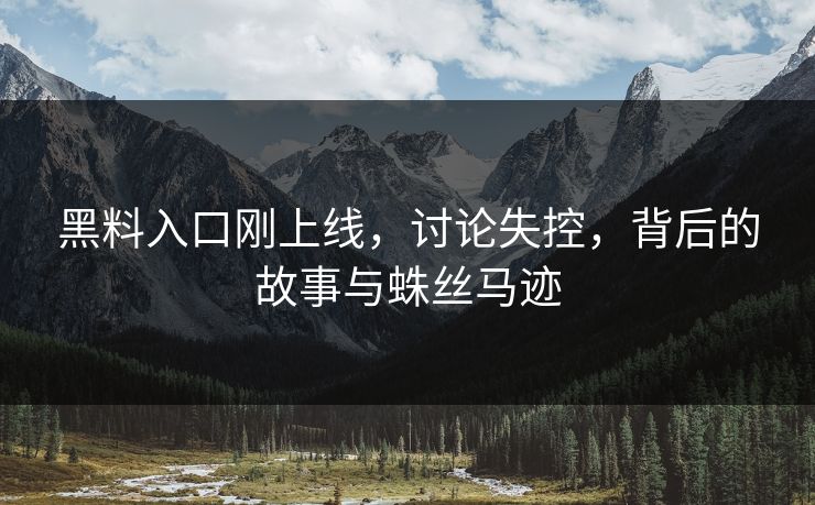 黑料入口刚上线，讨论失控，背后的故事与蛛丝马迹
