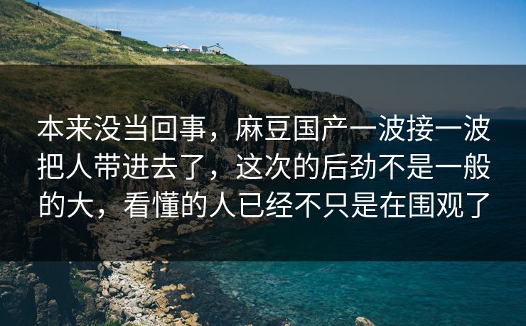 本来没当回事，麻豆国产一波接一波把人带进去了，这次的后劲不是一般的大，看懂的人已经不只是在围观了