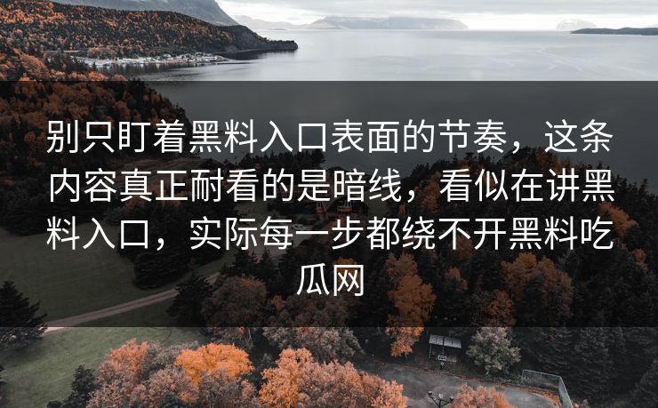 别只盯着黑料入口表面的节奏，这条内容真正耐看的是暗线，看似在讲黑料入口，实际每一步都绕不开黑料吃瓜网