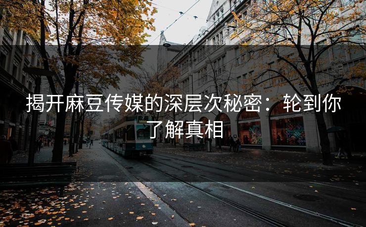 揭开麻豆传媒的深层次秘密:轮到你了解真相