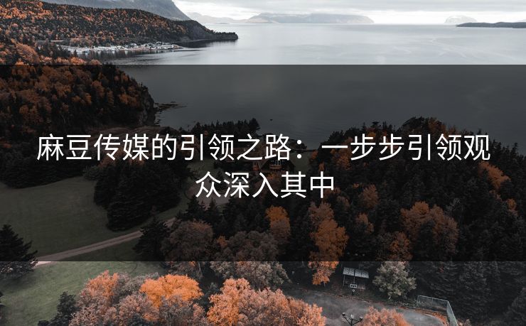 麻豆传媒的引领之路:一步步引领观众深入其中